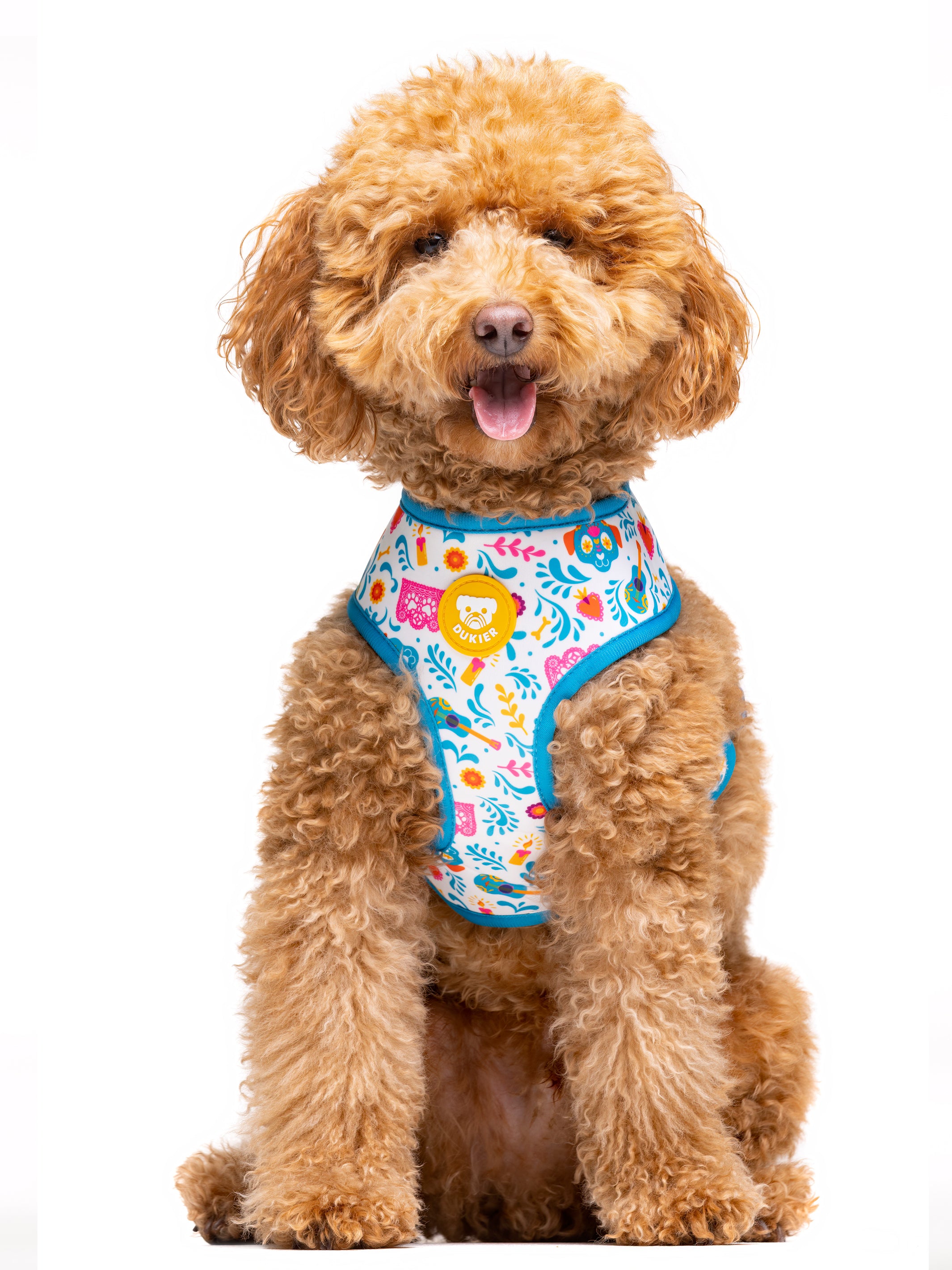 CATRINA REVERSIBLE DOG HARNESS