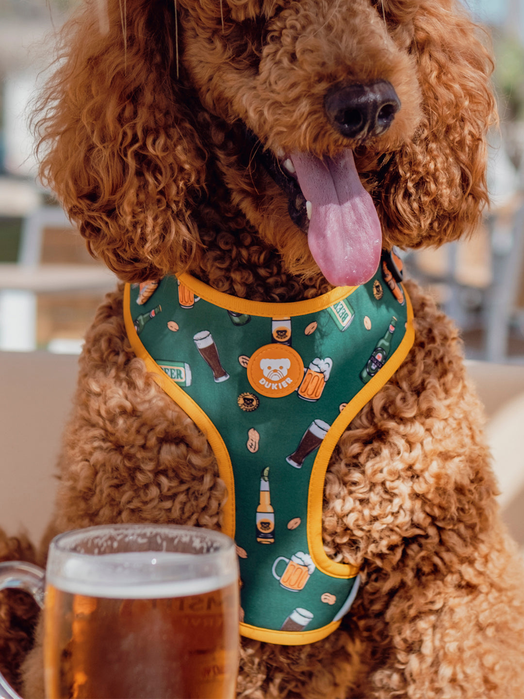 PETTORINA REGOLABILE PER CANE BEERS