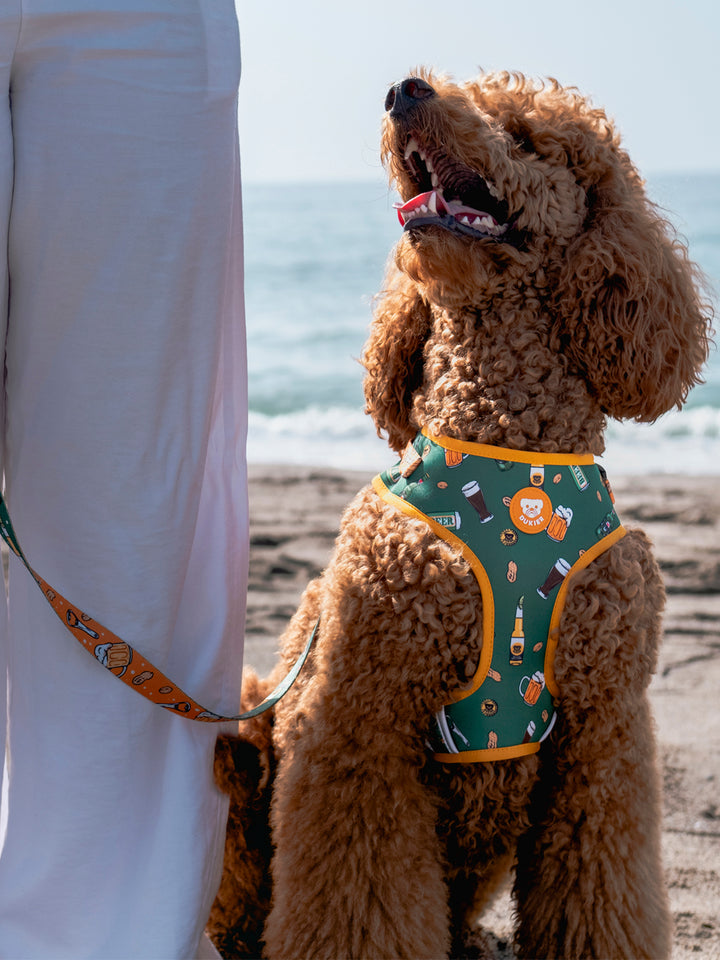 PETTORINA REGOLABILE PER CANE BEERS