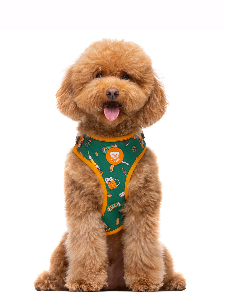 PETTORINA REGOLABILE PER CANE BEERS