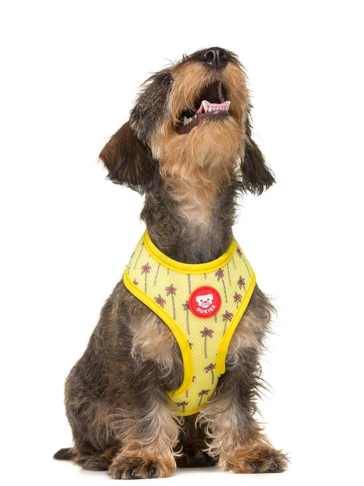 CALIFORNIA REVERSIBLE HARNESS FOR DOGS