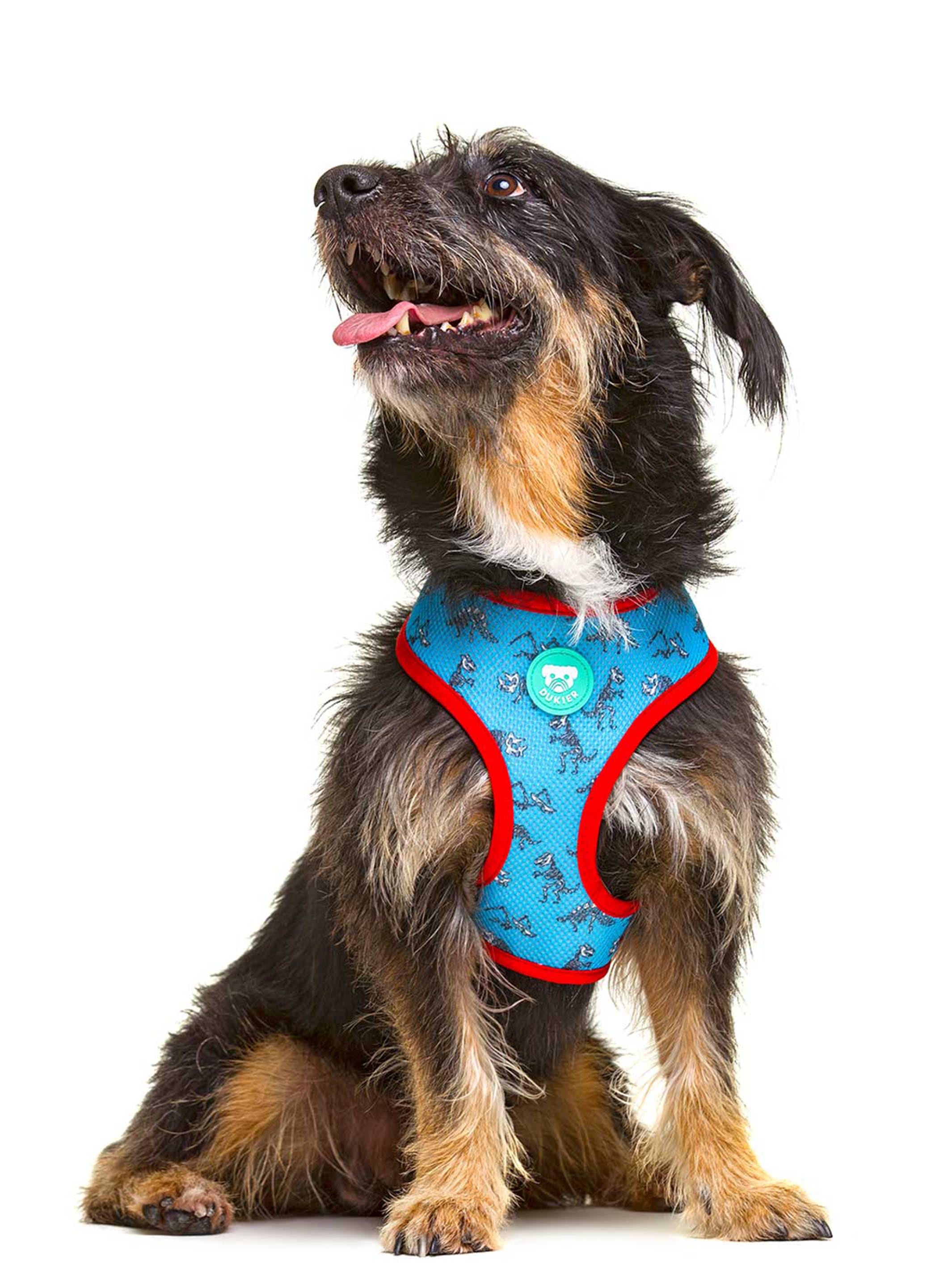 REVERSIBLE DINO HARNESS FOR DOGS