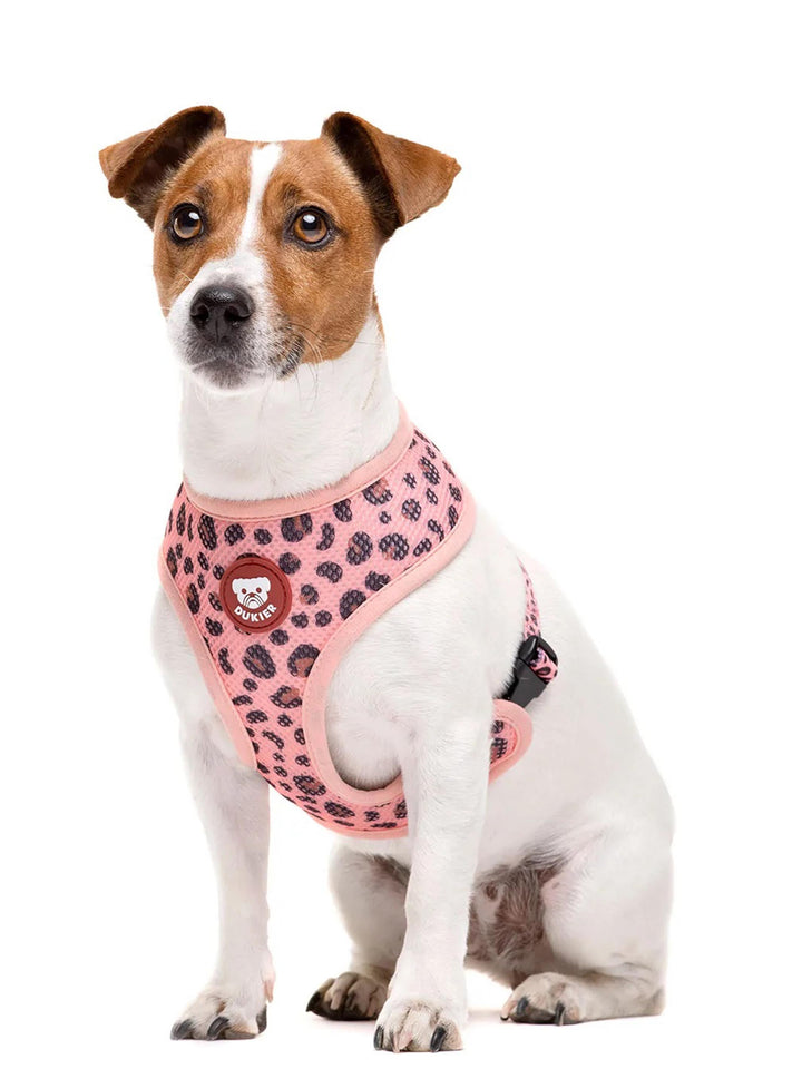 LEOPARD REVERSIBLE DOG HARNESS