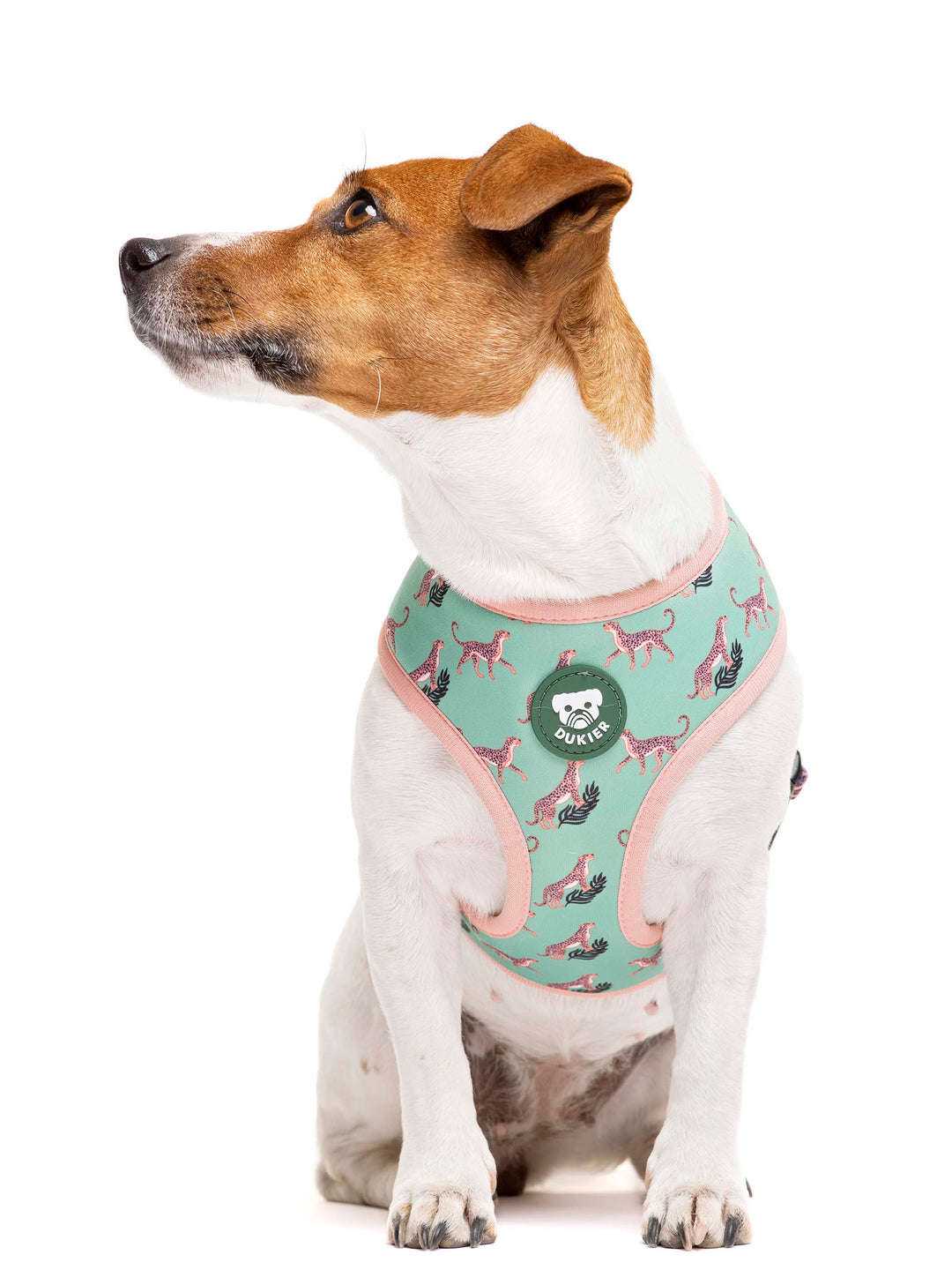 LEOPARD REVERSIBLE DOG HARNESS