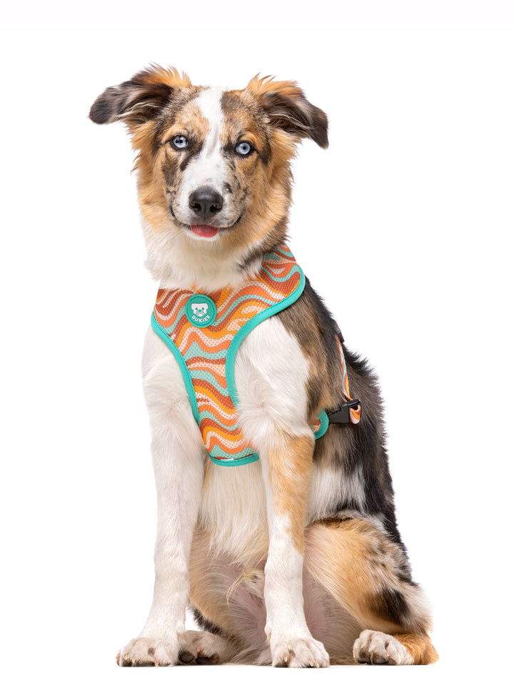 PEACE REVERSIBLE DOG HARNESS