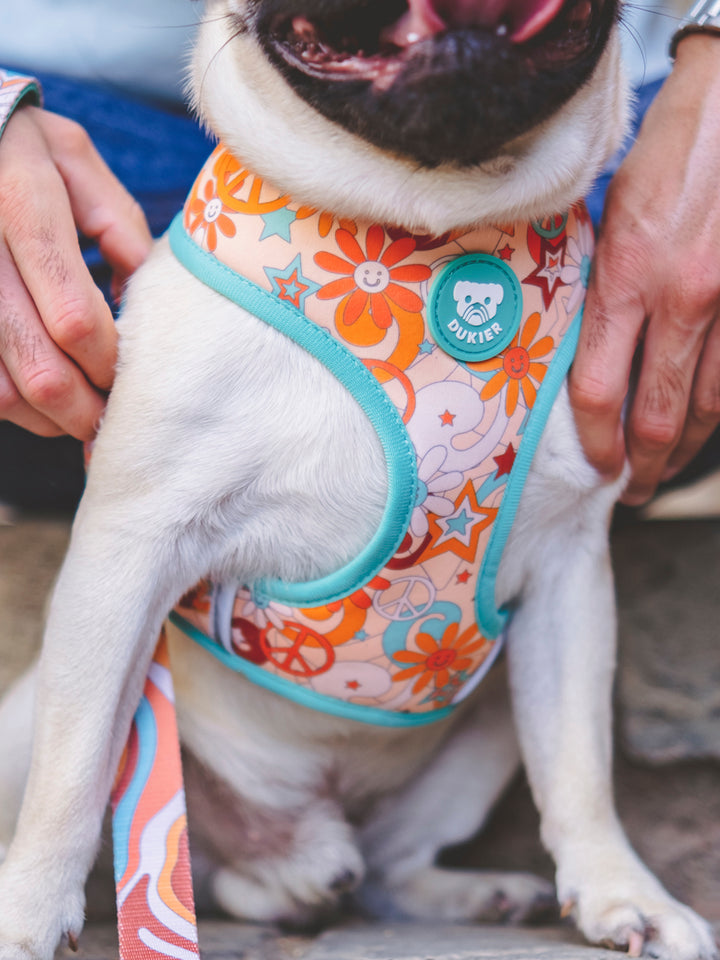 PEACE REVERSIBLE DOG HARNESS