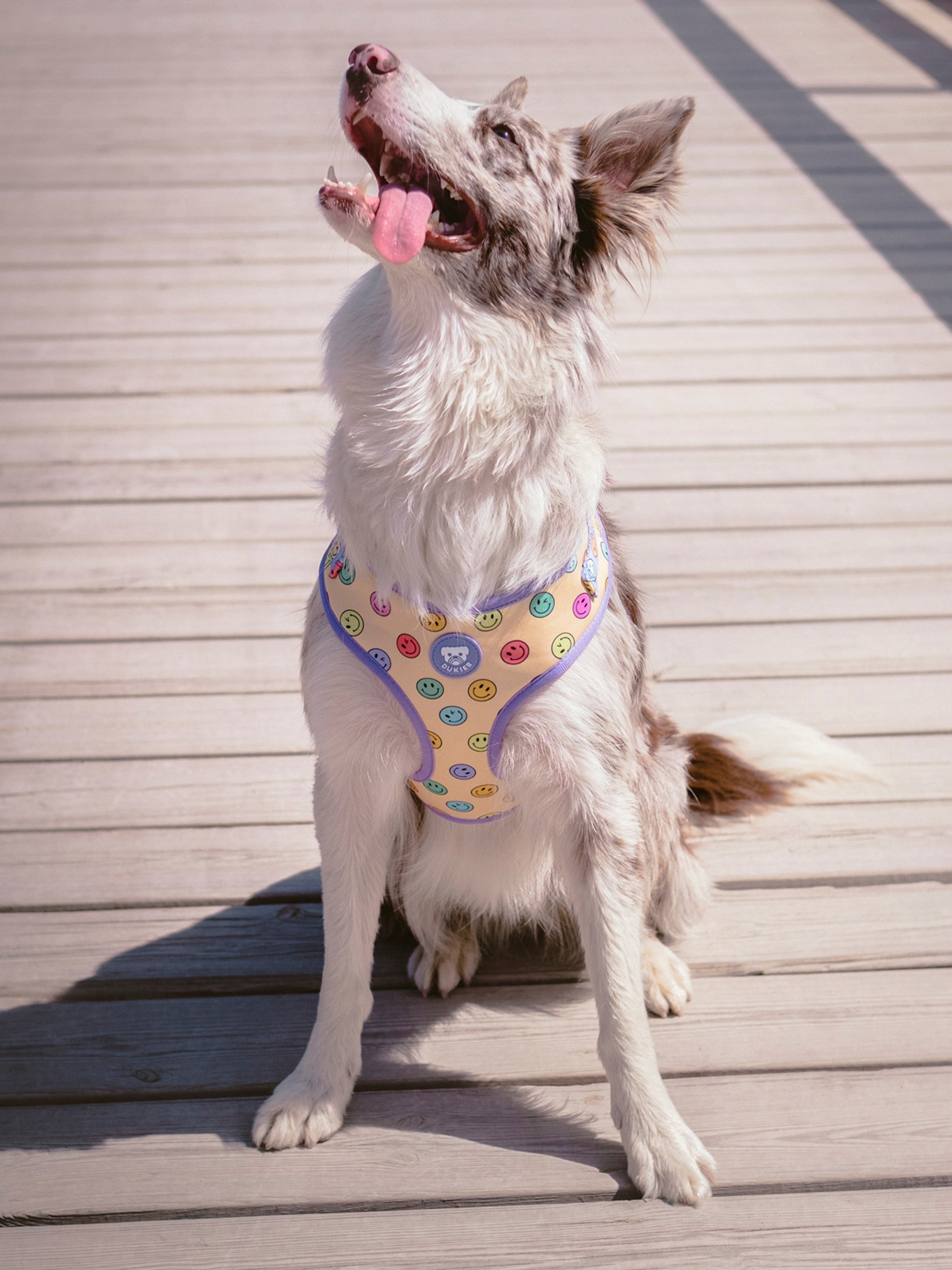 Dukier - Perro - Colgador de Bolsas Caca Smiley