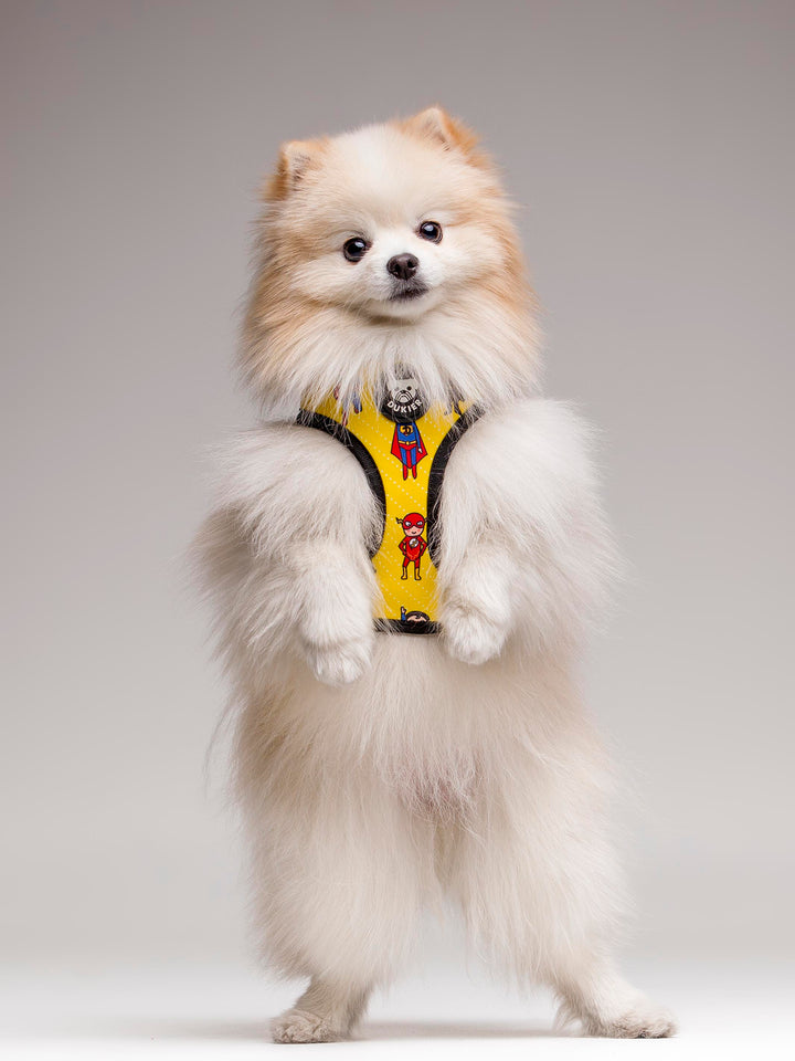 PETTORINA REVERSIBILE PER CANE SUPERDOG