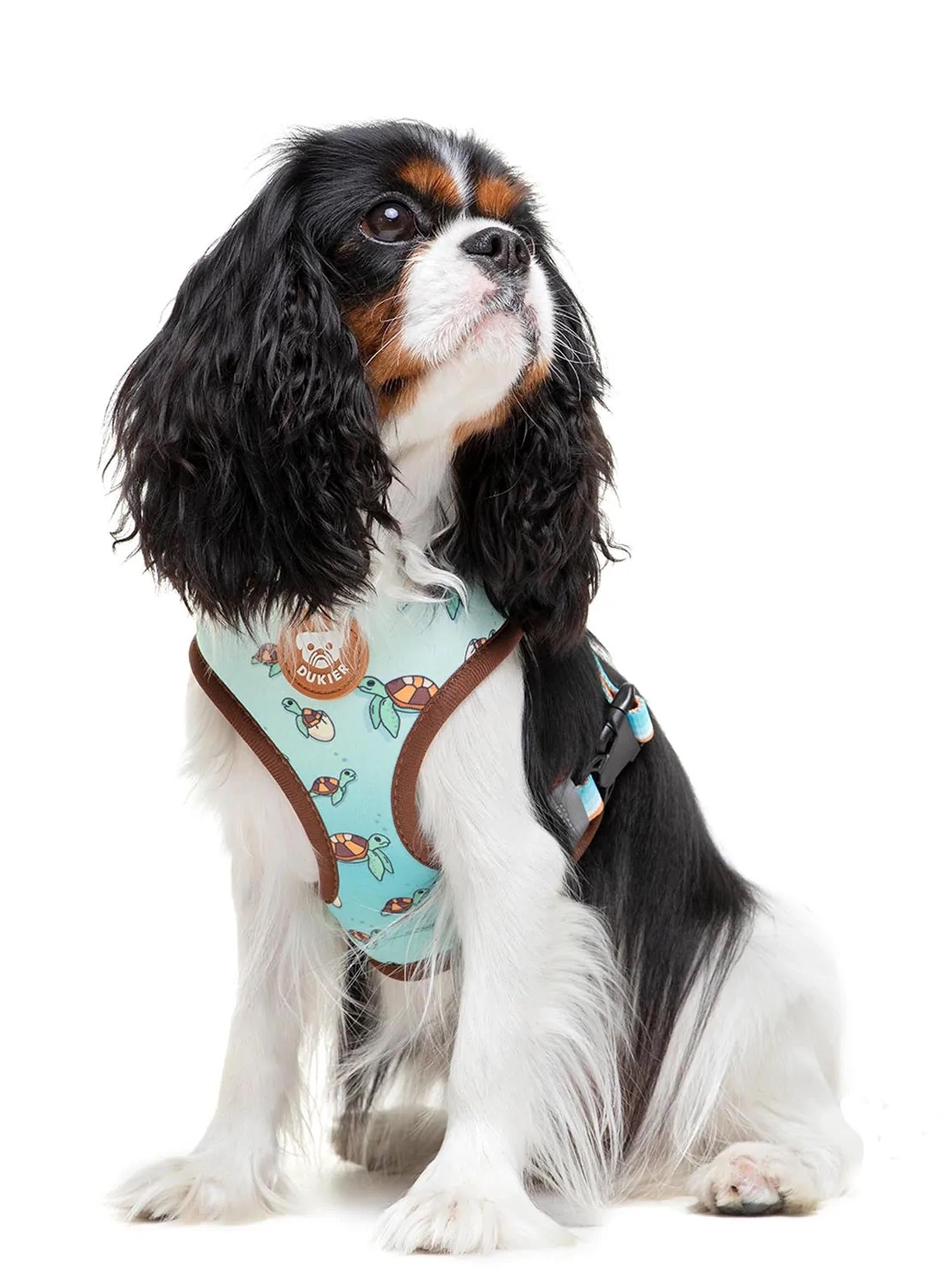 TURTLE REVERSIBLE DOG HARNESS