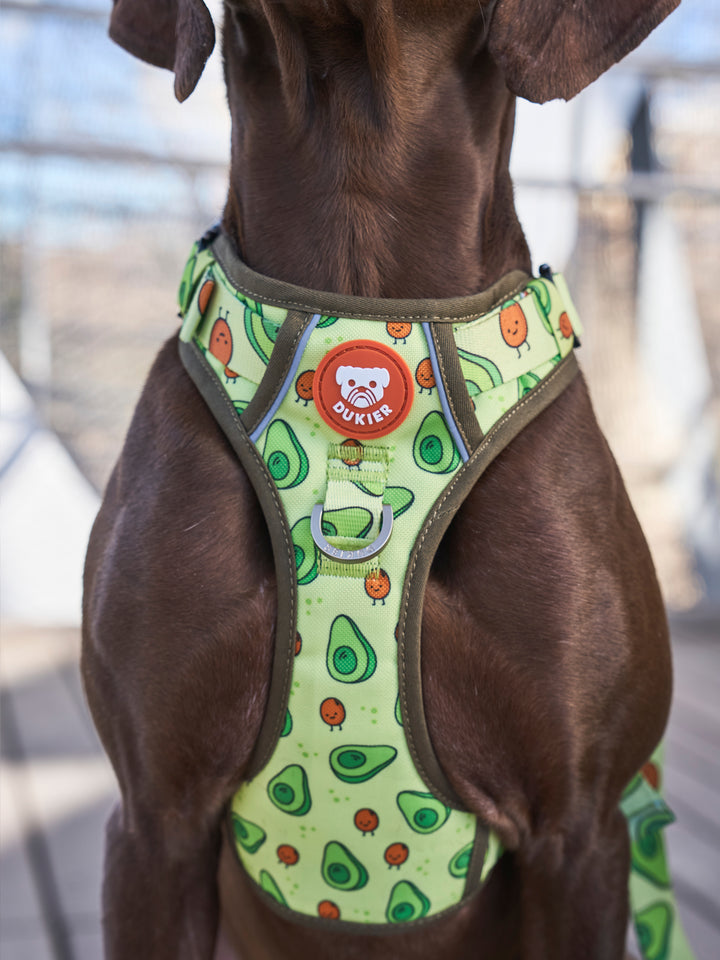 TRAIL HUNDEGESCHIRR AVOCADO