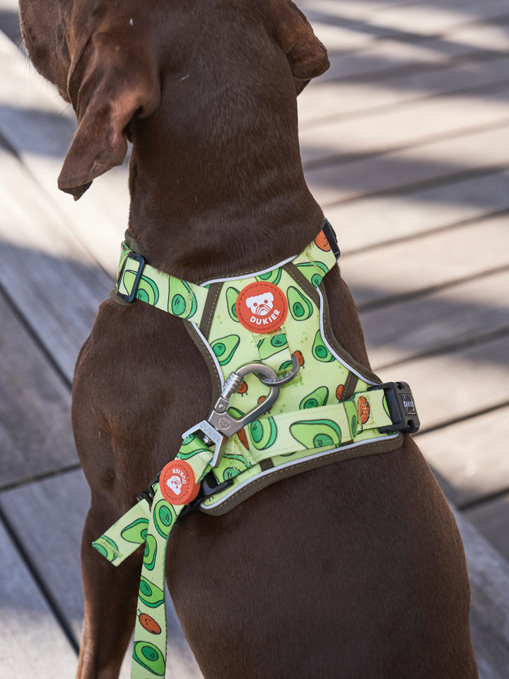 TRAIL HUNDEGESCHIRR AVOCADO