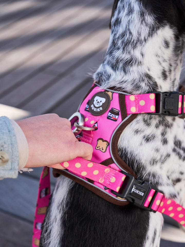 TRAIL DOG HARNESS DOGTELLA