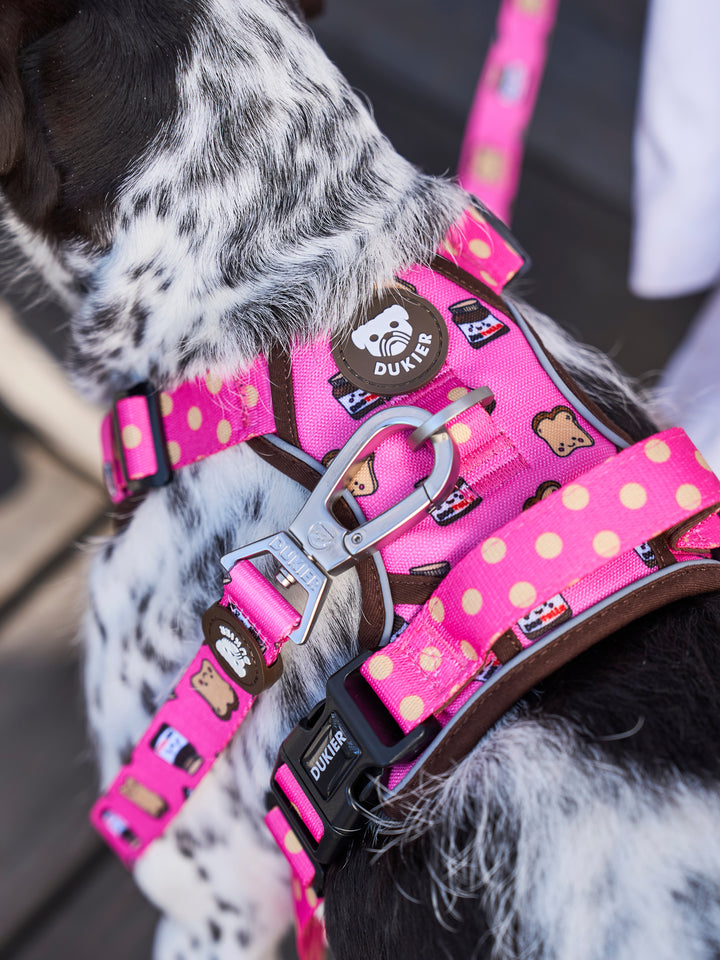 TRAIL DOG HARNESS DOGTELLA