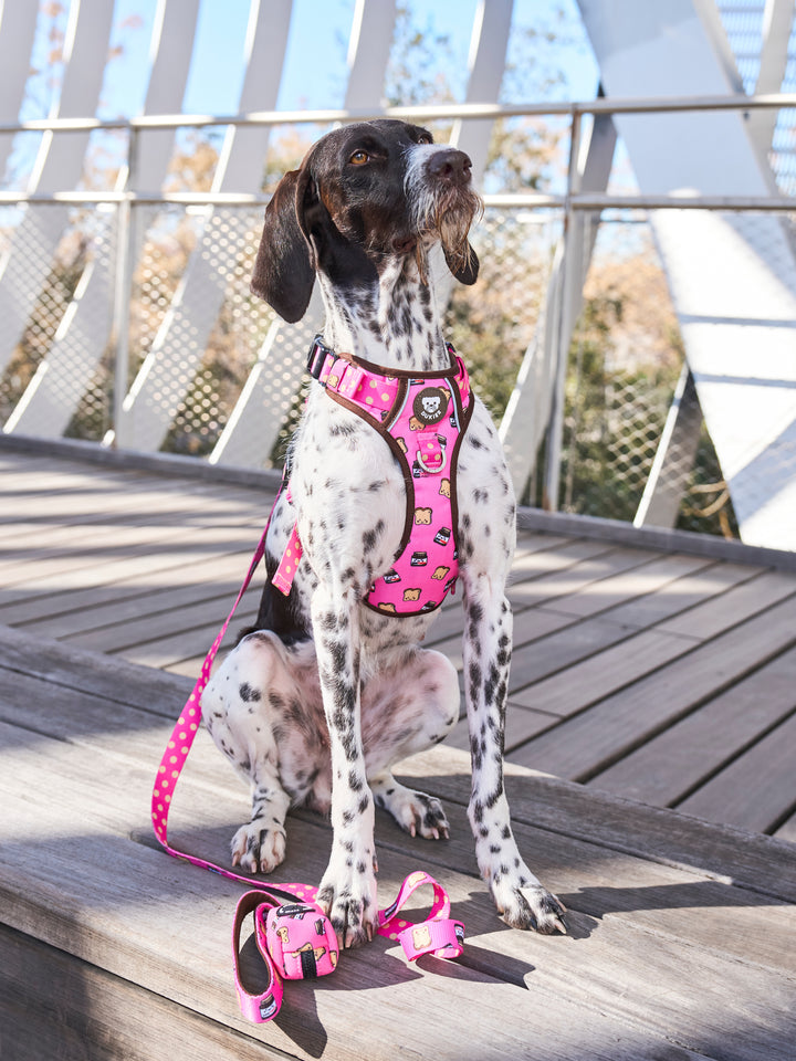 DOGTELLA LEASH FOR DOGS