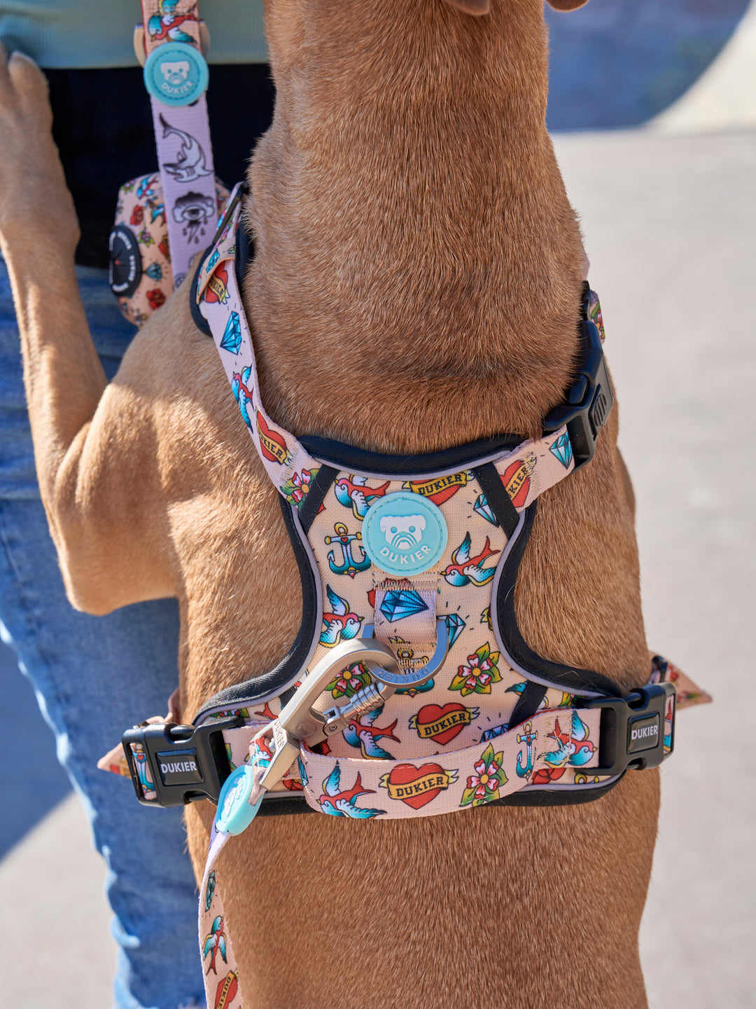 TRAIL HUNDEGESCHIRR TATTOO