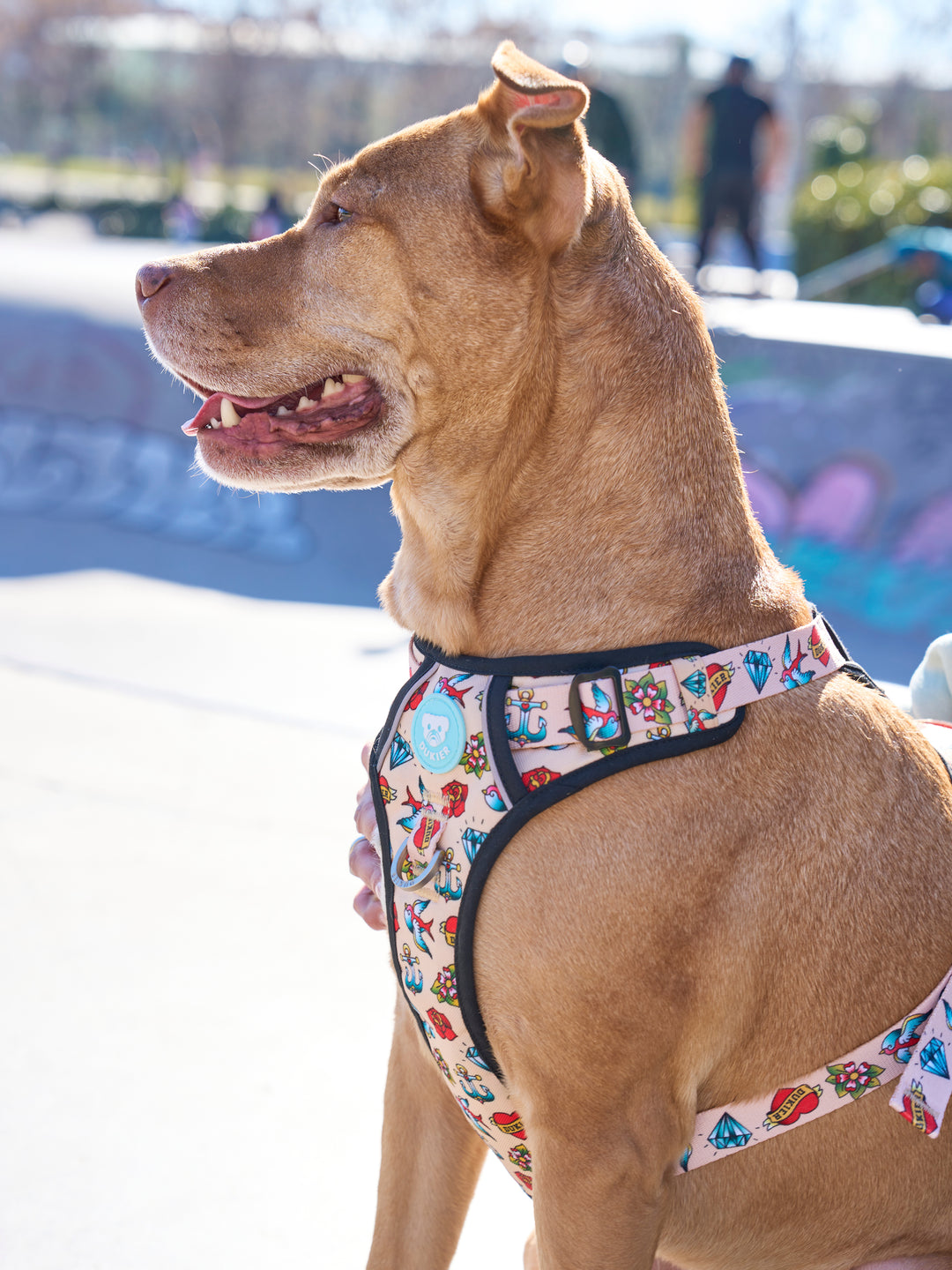 Dog Harnesses Dog Collar Suppliers Harness But Large Tactical