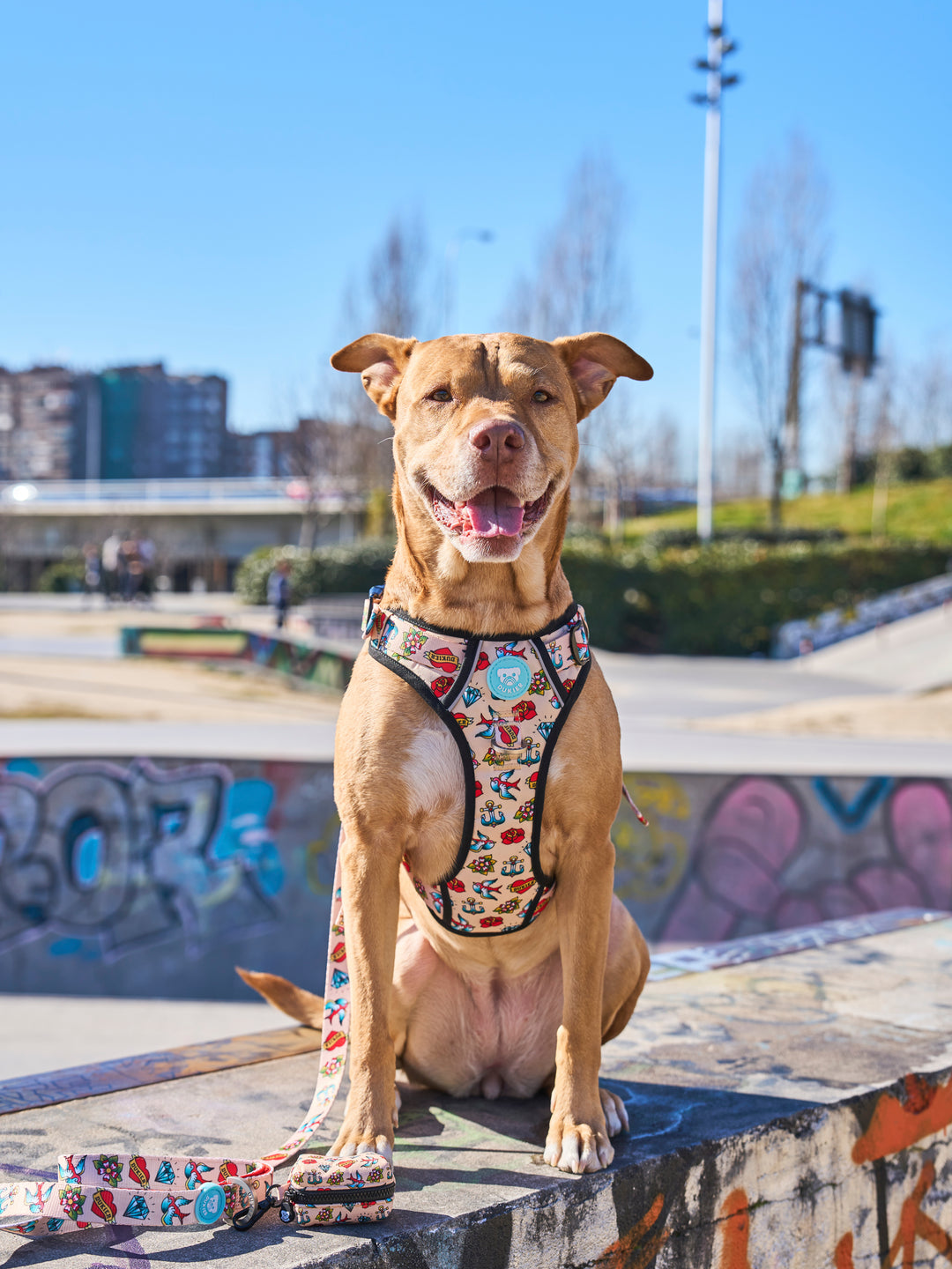 TRAIL HUNDEGESCHIRR TATTOO