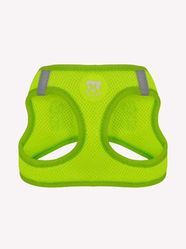 PETTORINA  BODY LIME