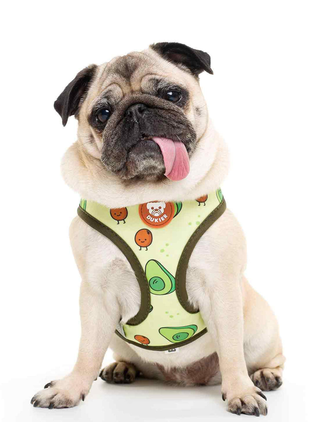 AVOCADO REVERSIBLE DOG HARNESS
