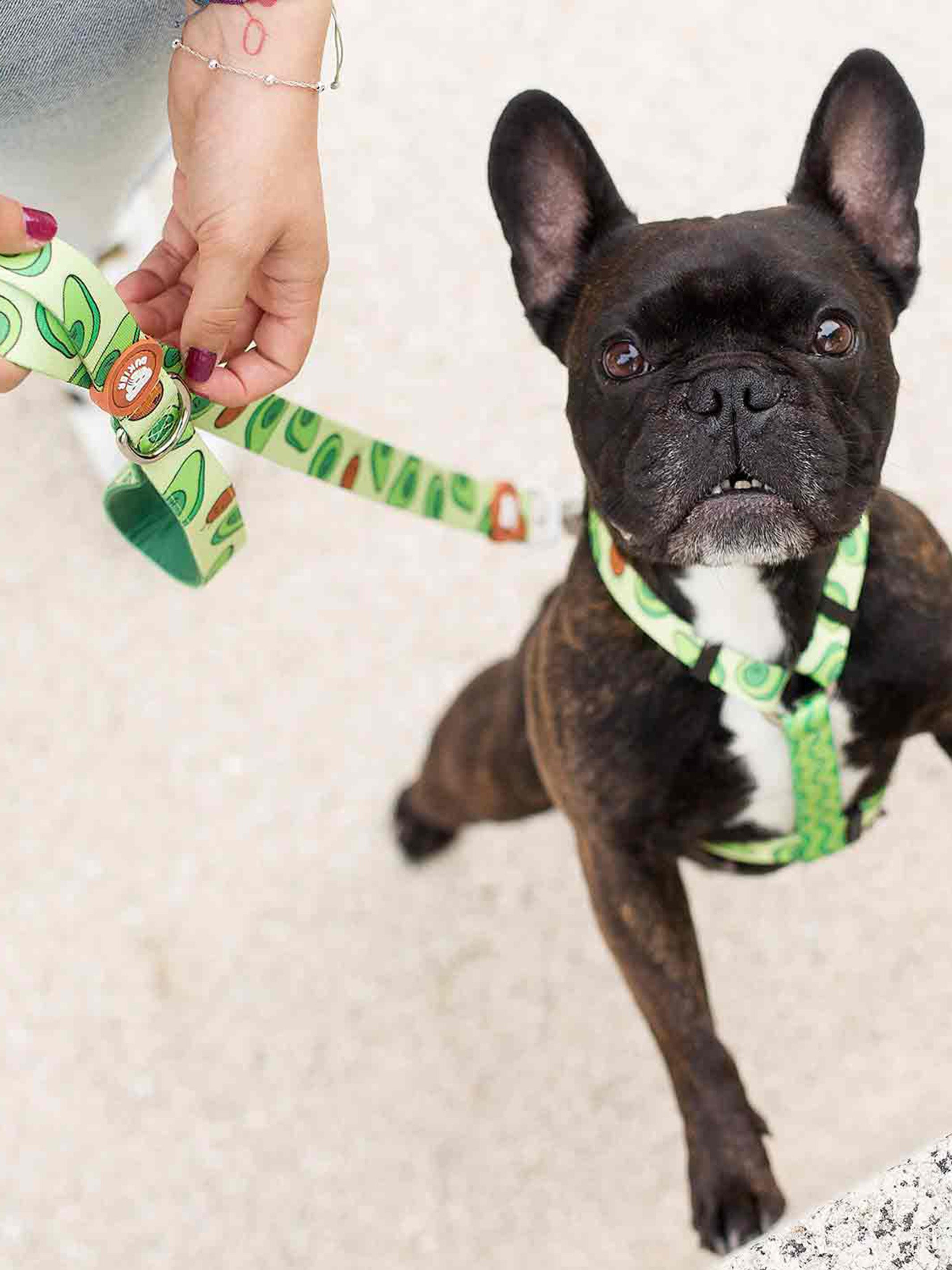 AVOCADO LEASH FOR DOGS