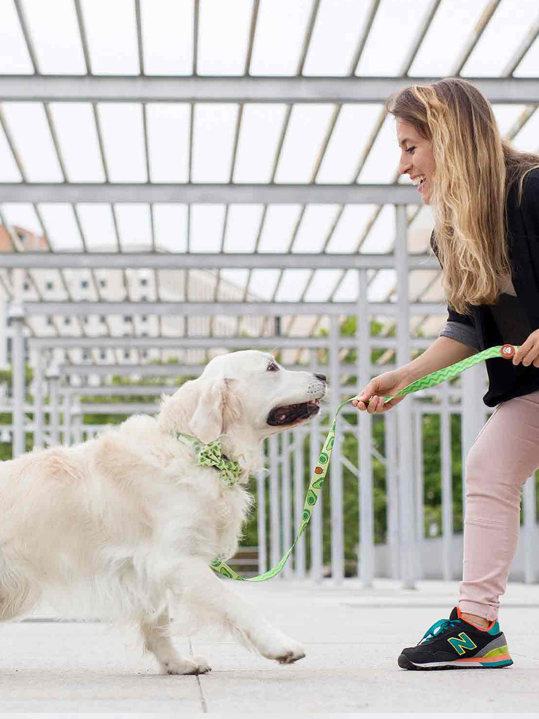 PAJARITA PARA PERRO AVOCADO