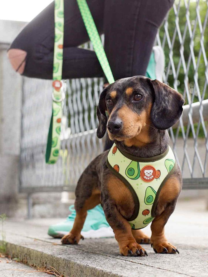 AVOCADO REVERSIBLE DOG HARNESS