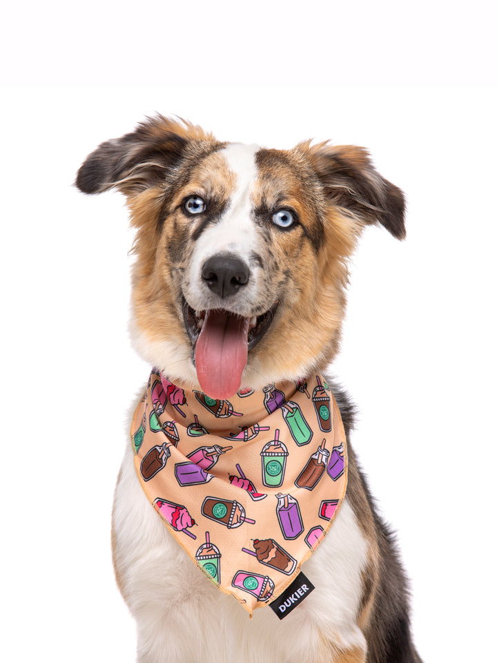 BANDANNA HEART