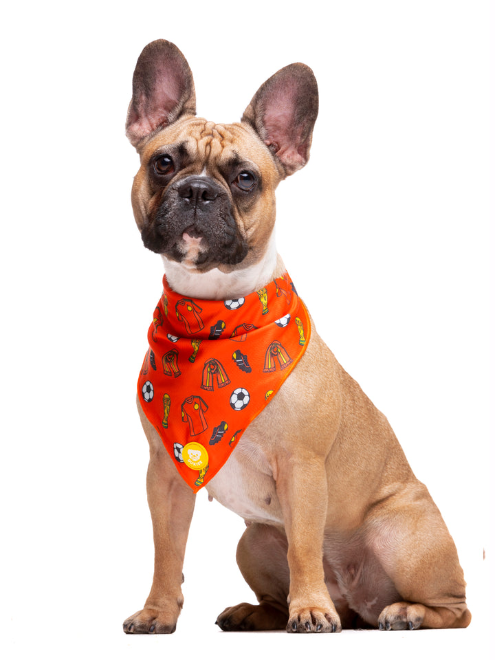 BANDANA FOOTBALL