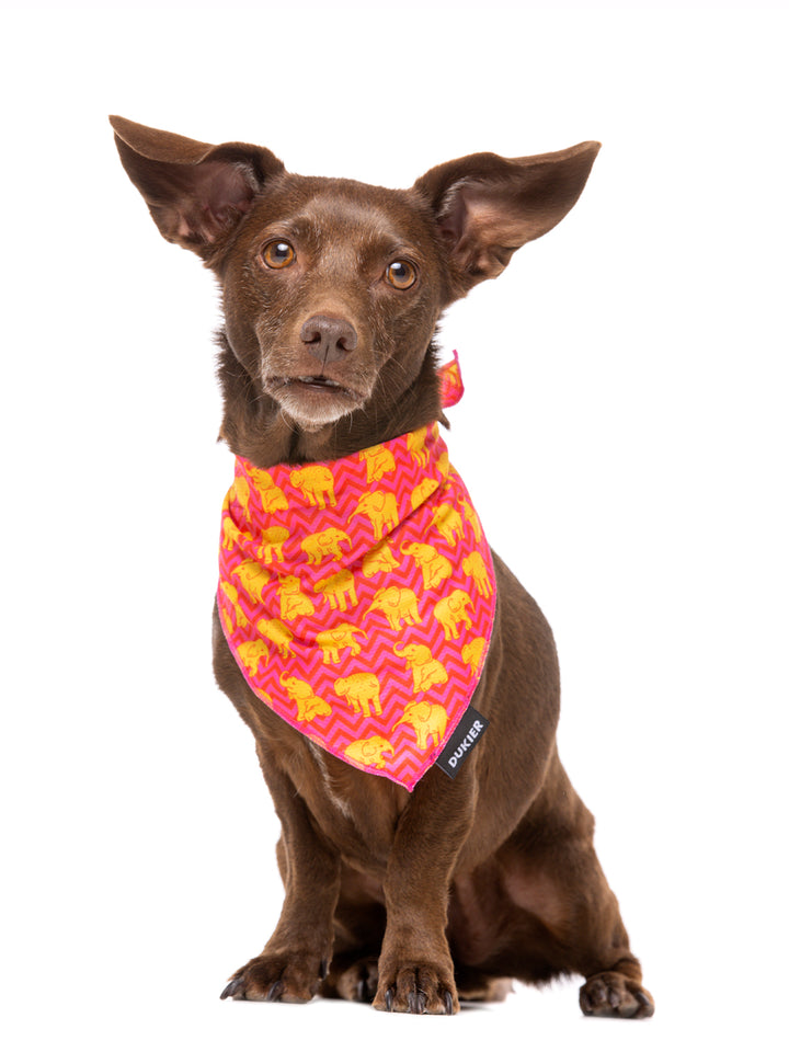 BANDANNA HEART