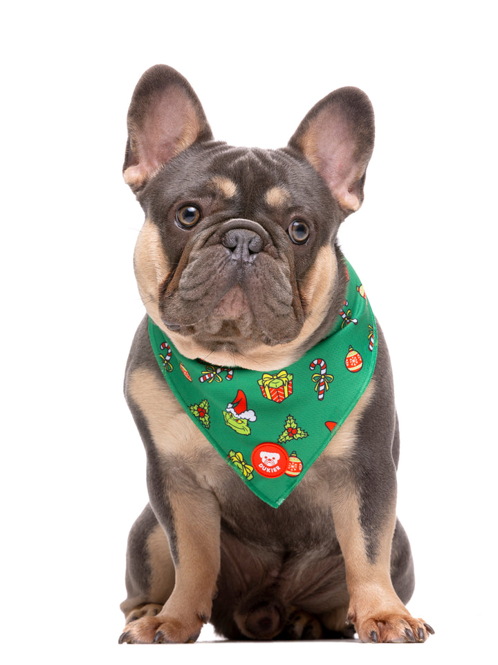 BANDANNA STOLEN XMAS