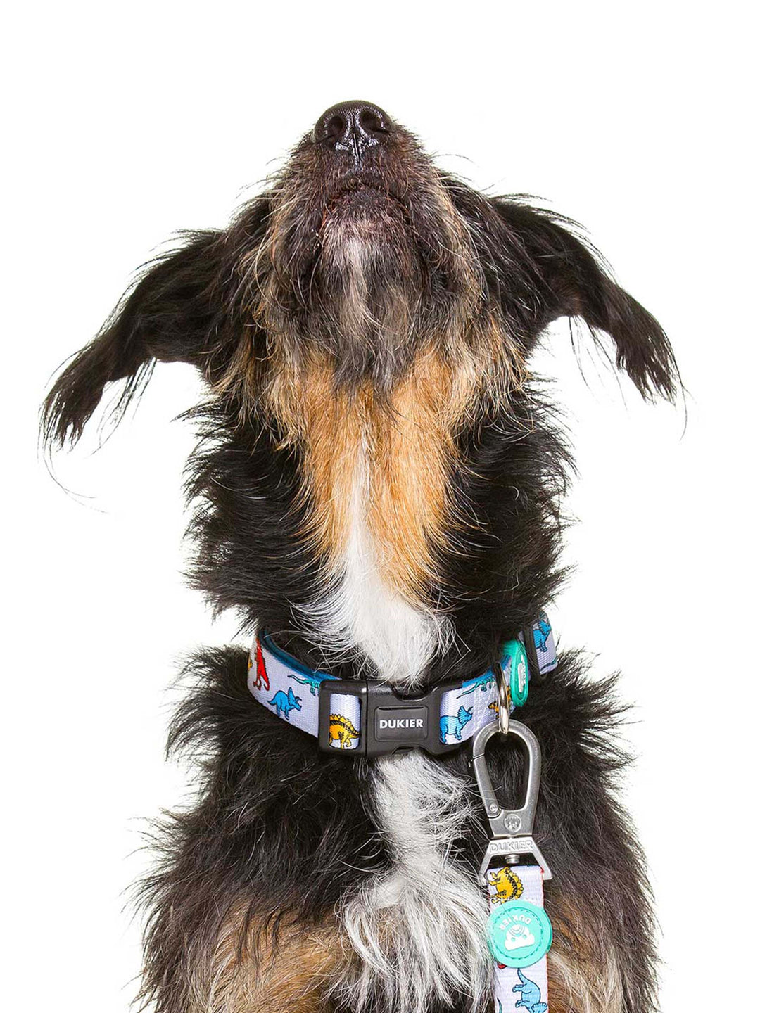 DINO COLLAR FOR DOGS