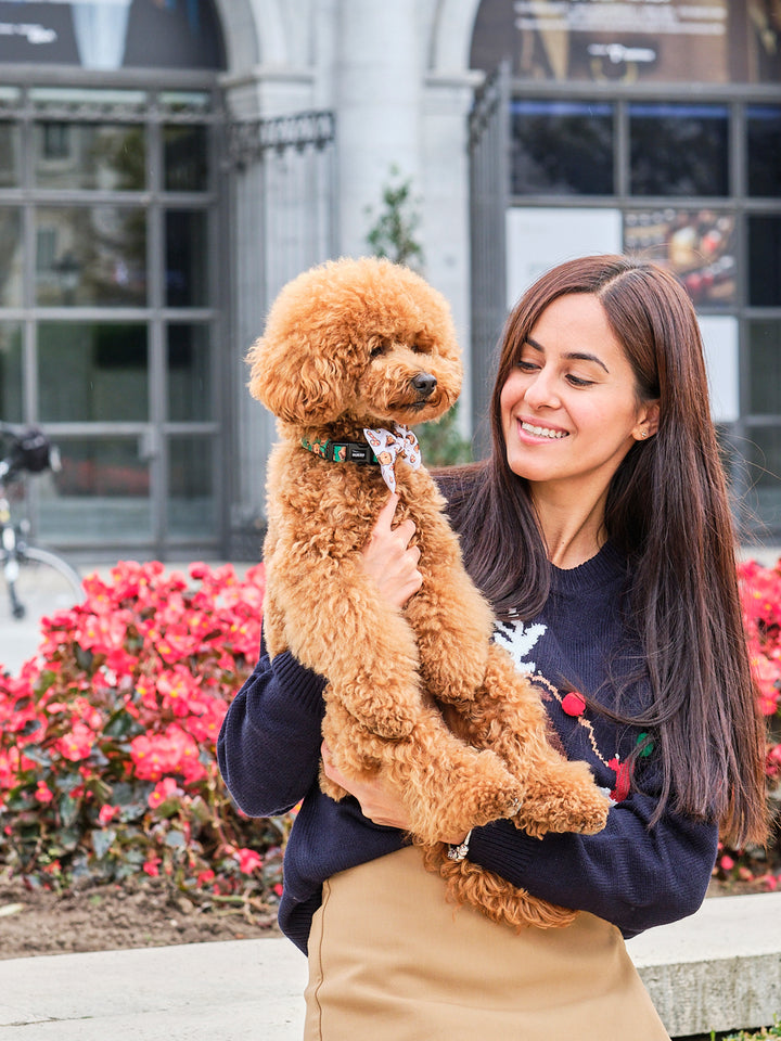 GINGER BREAD DOG COLLAR