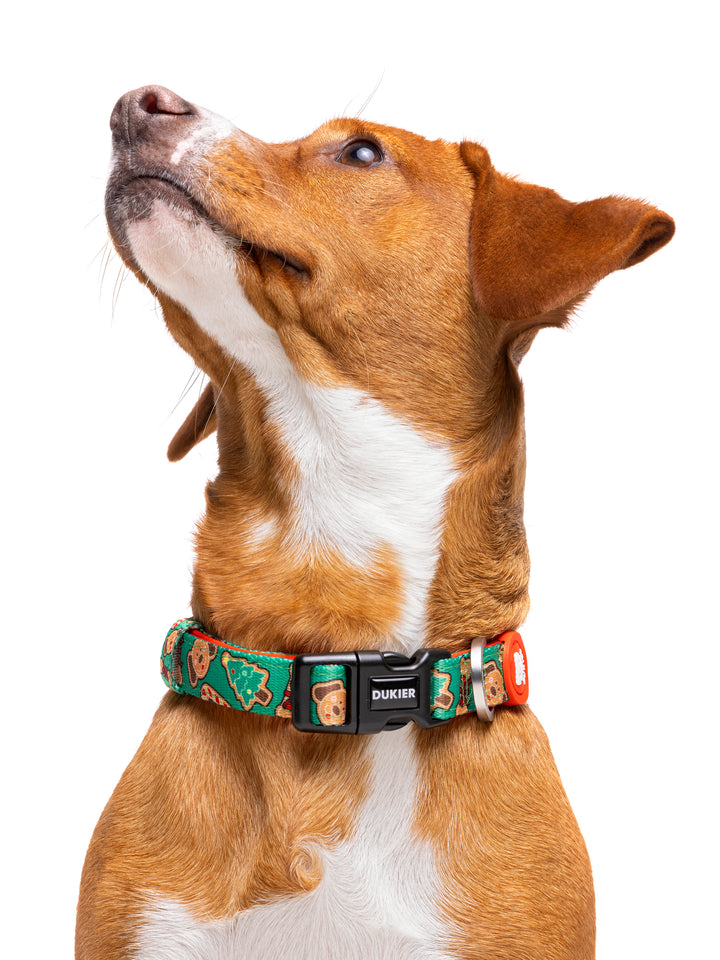 GINGER BREAD DOG COLLAR