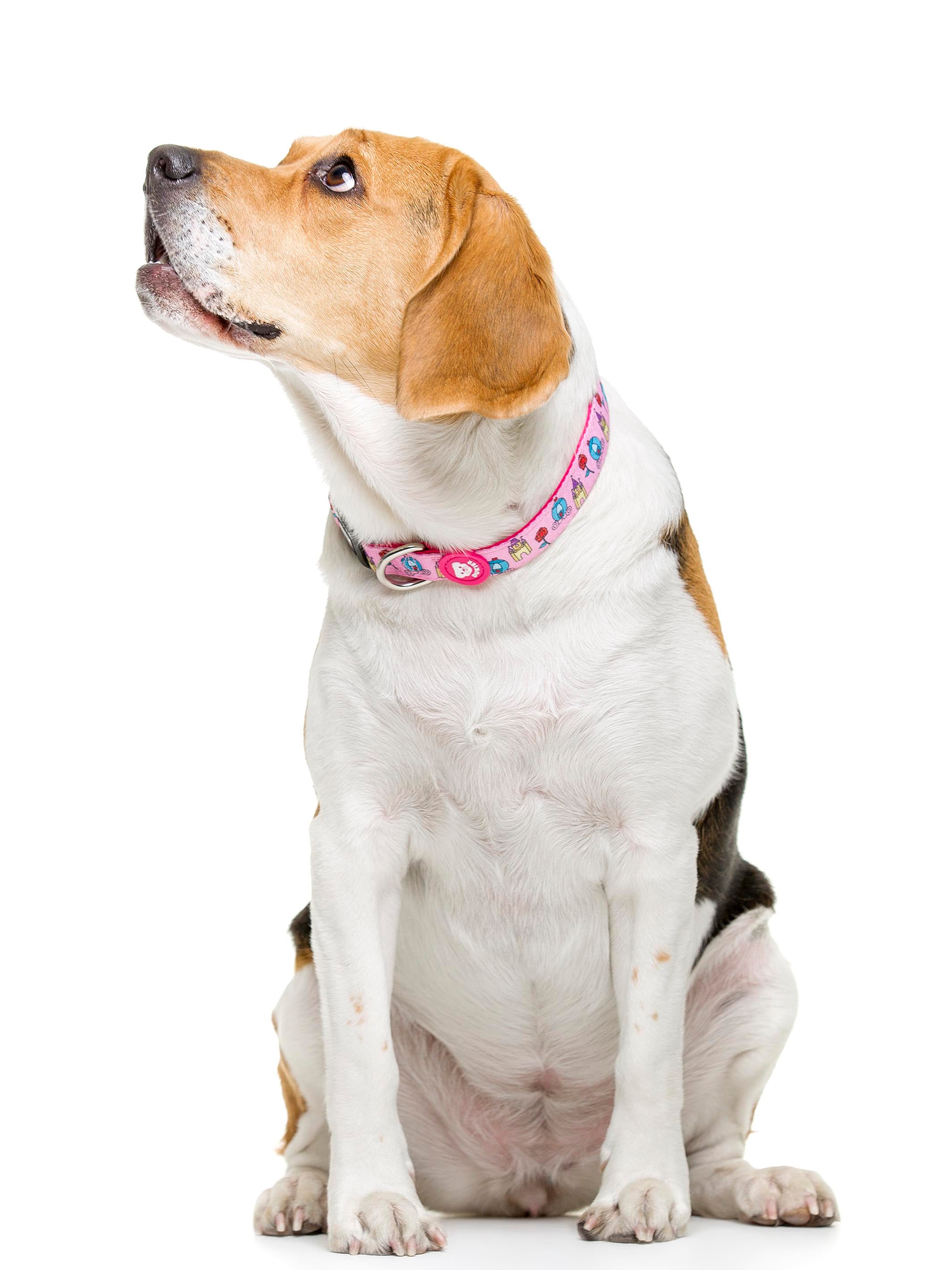 PRINCESS DOG COLLAR