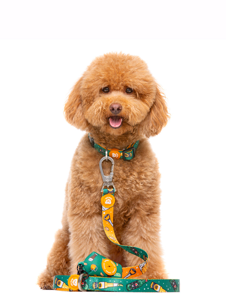 BEER LEASH FOR DOGS