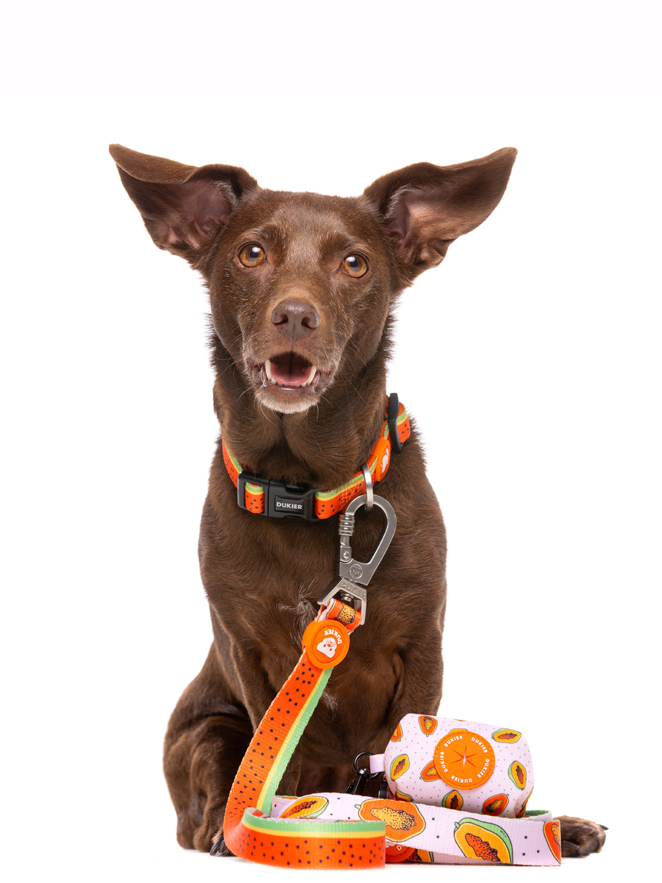 PAPAYA POO BAG HOLDER