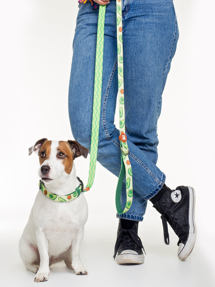 AVOCADO LEASH FOR DOGS