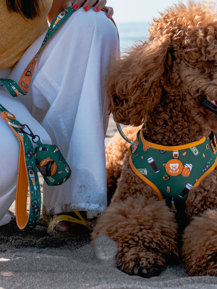 BEER LEASH FOR DOGS