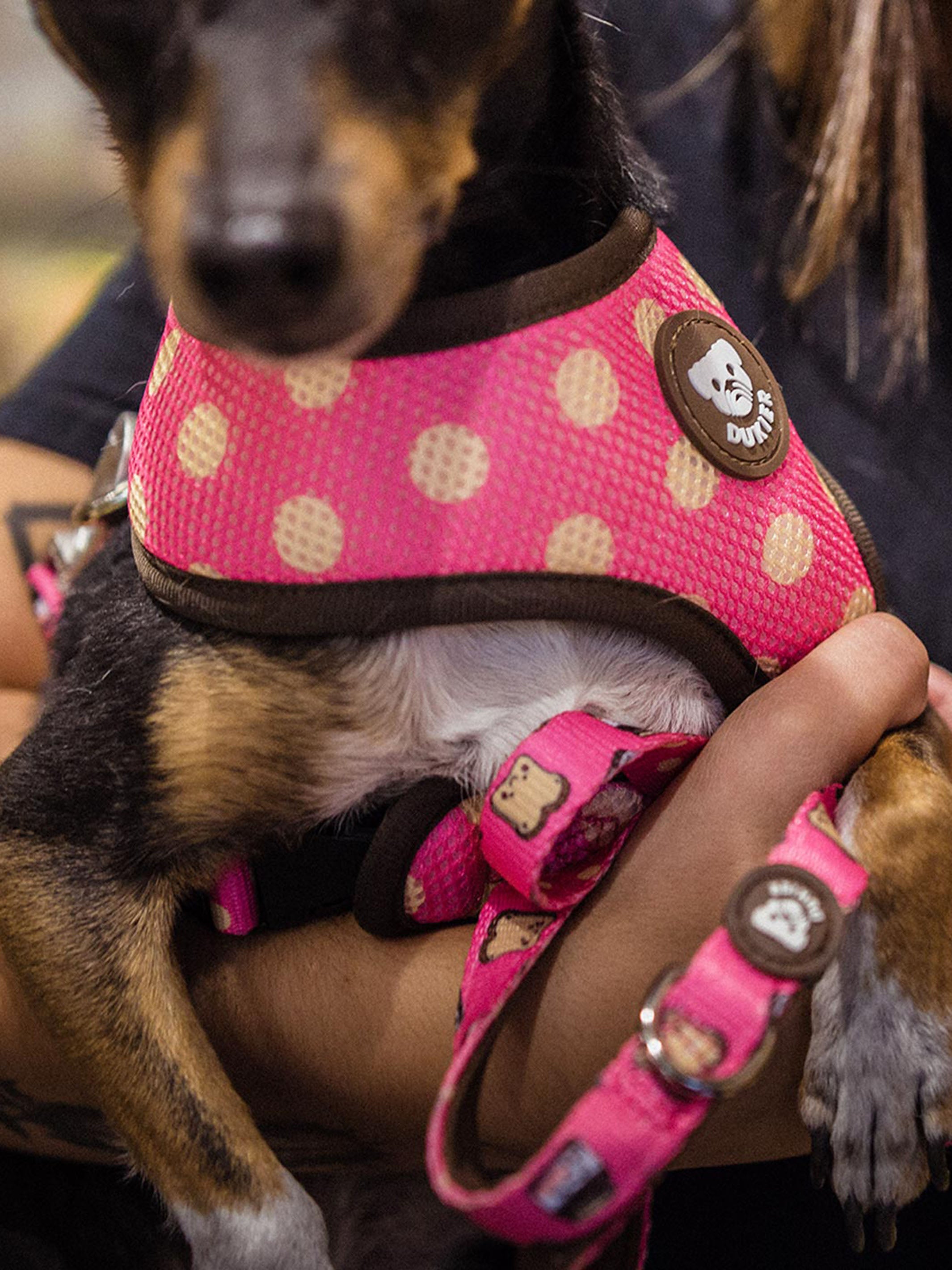 DOGTELLA LEASH FOR DOGS