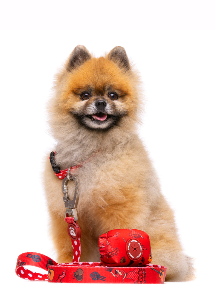 FLAMENCO POO BAG HOLDER