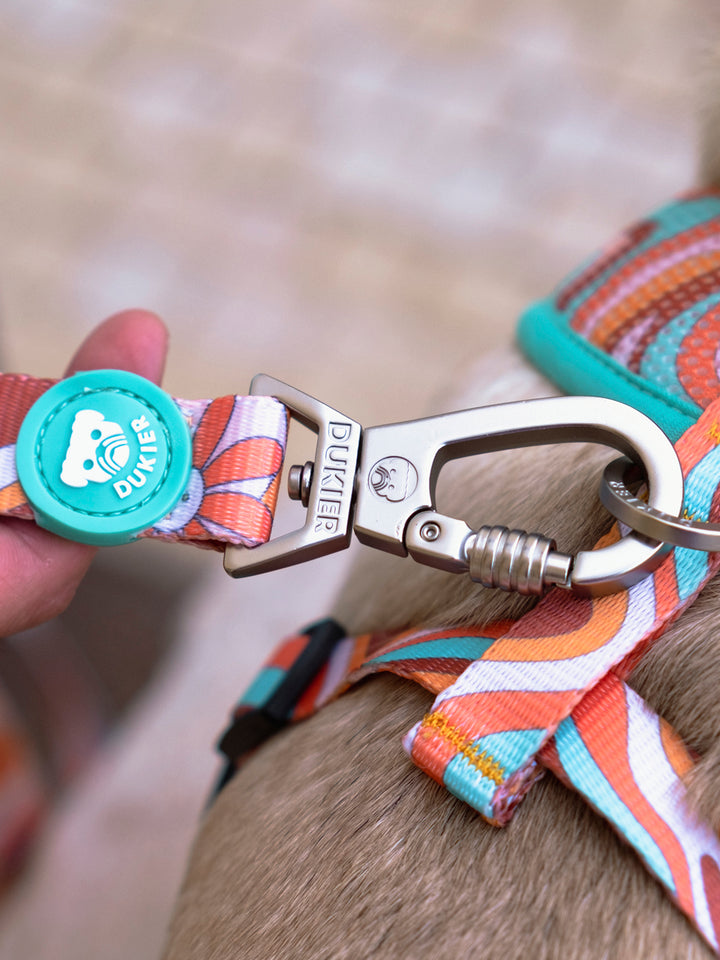 PEACE LEASH FOR DOGS