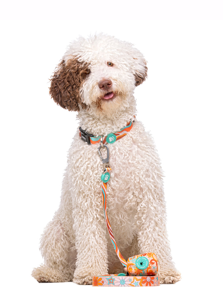 PEACE LEASH FOR DOGS