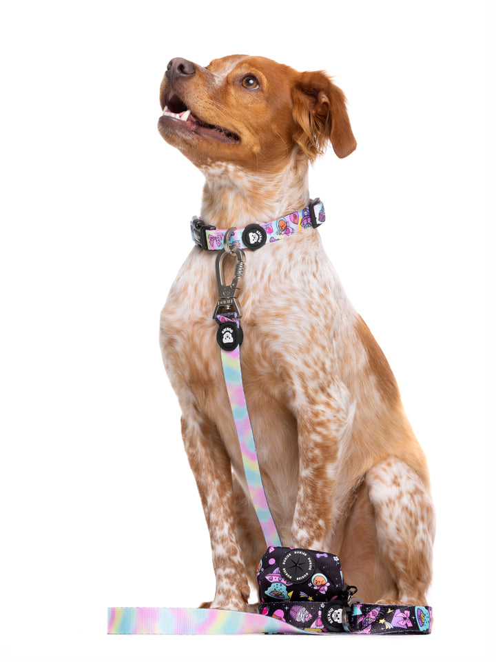 PINK GALAXY LEASH FOR DOGS