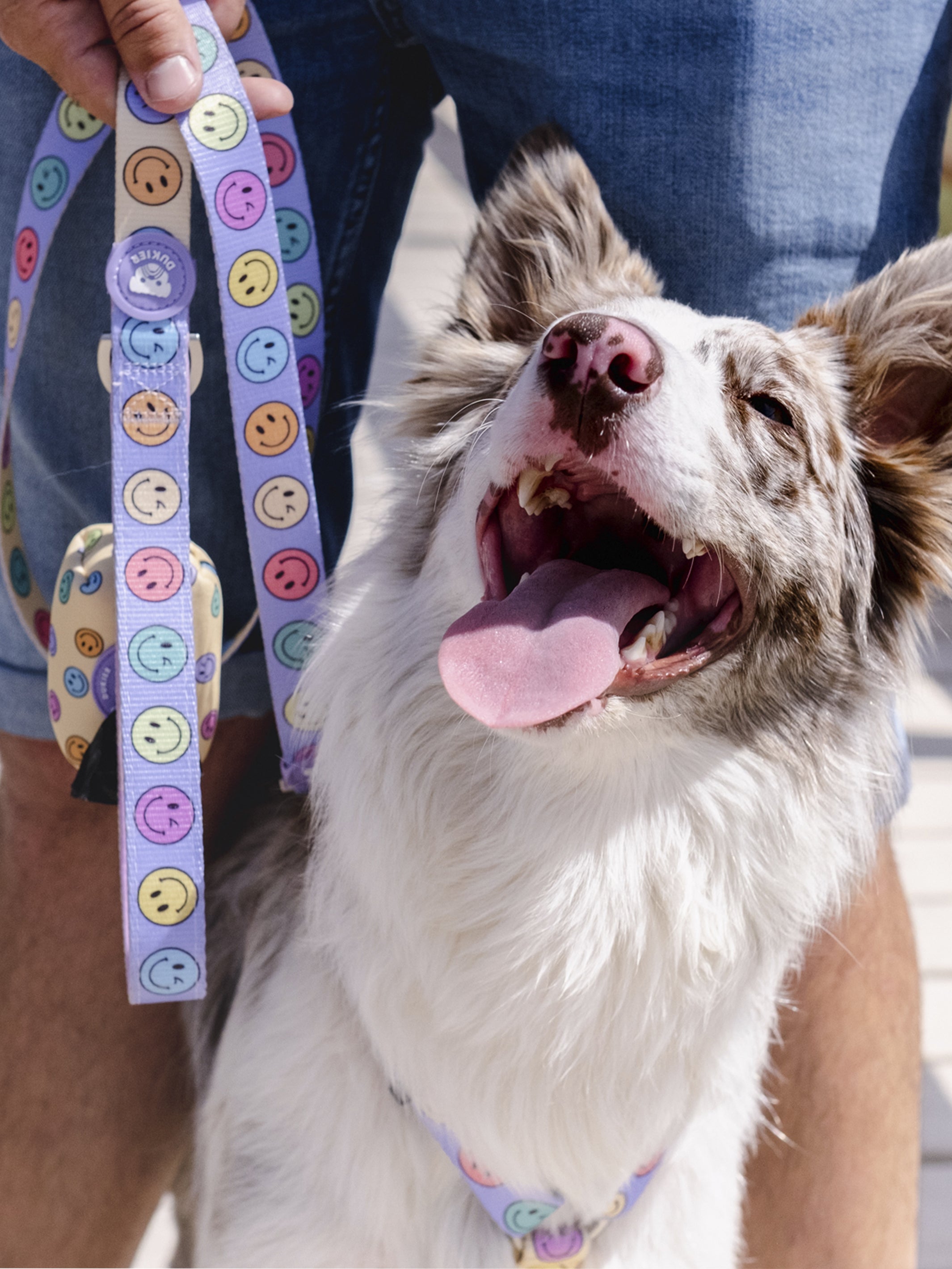 SMILEY LEASH FOR DOGS