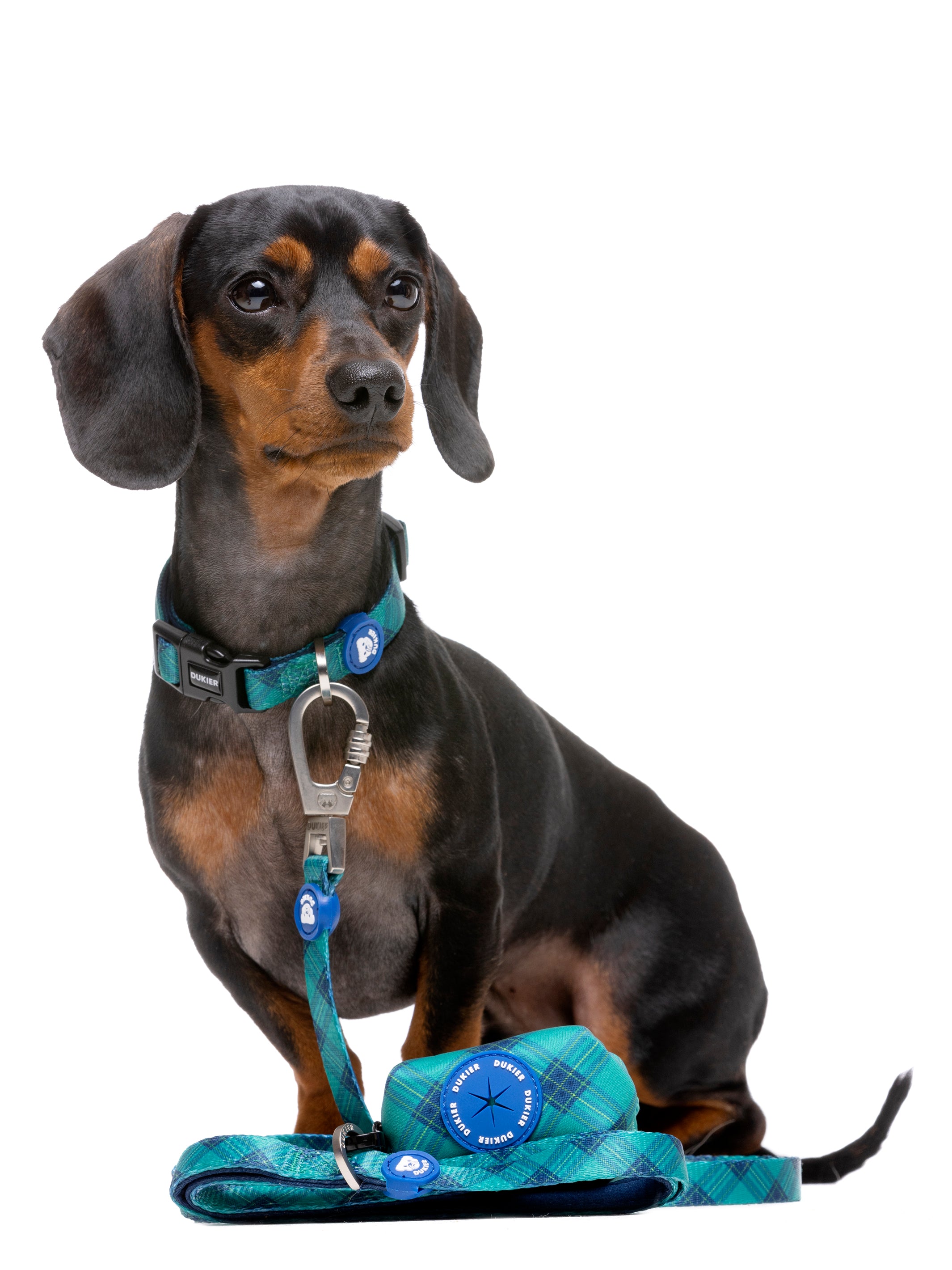 TARTÁN LEASH FOR DOGS