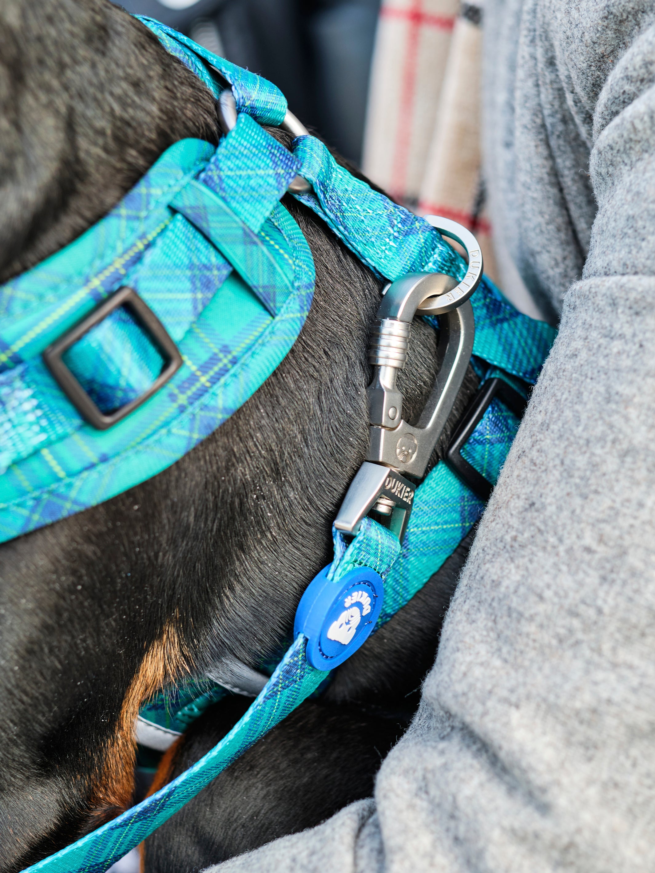 TARTÁN LEASH FOR DOGS