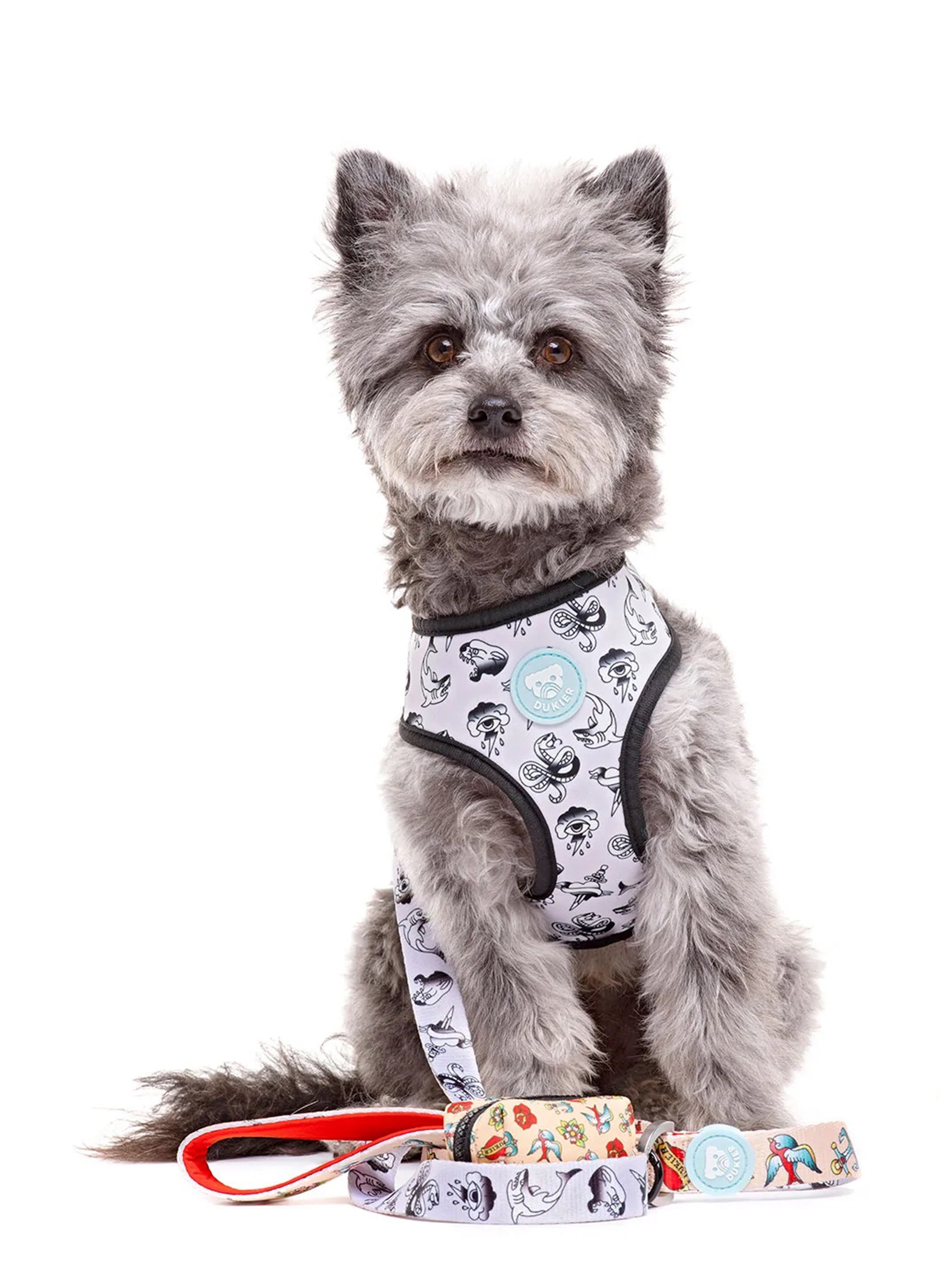 TATTOO LEASH FOR DOGS