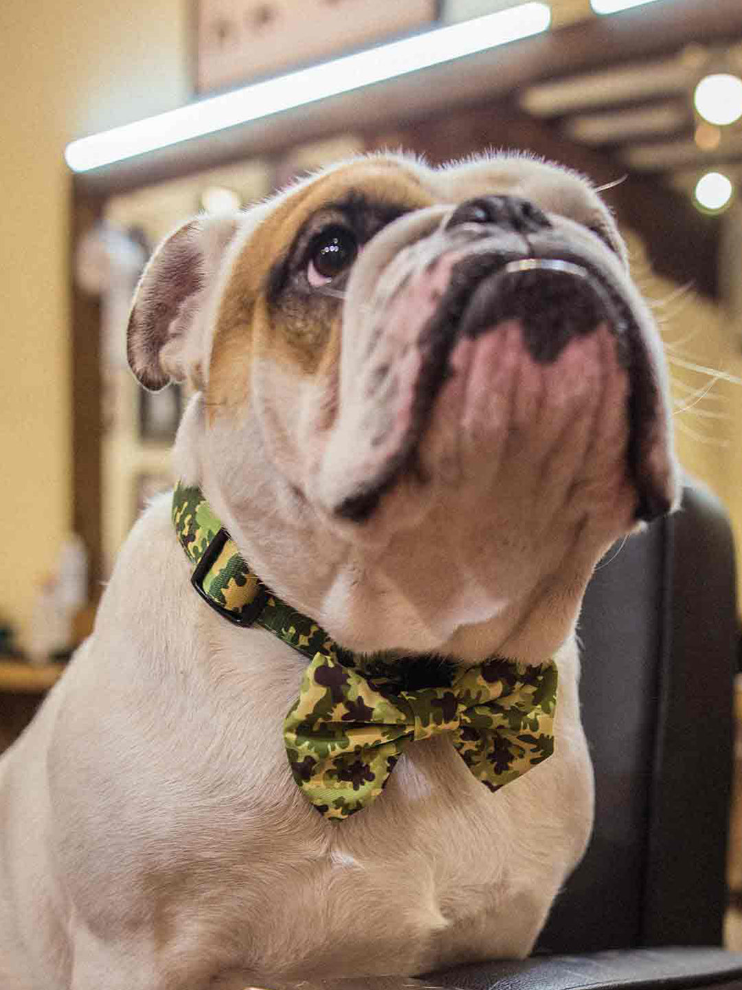 CAMO BOW TIE FOR DOGS