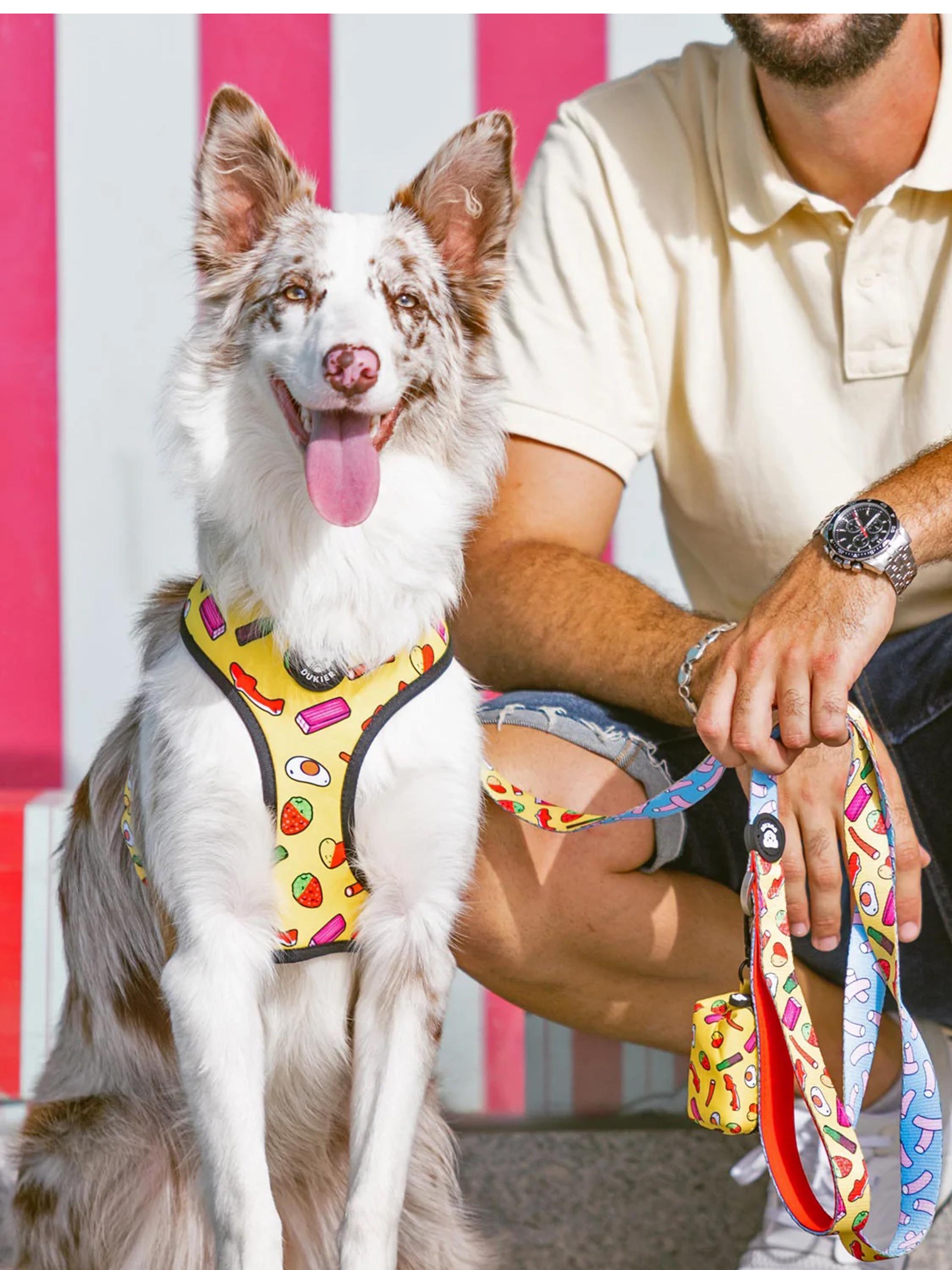 SWEETS REVERSIBLE DOG HARNESS