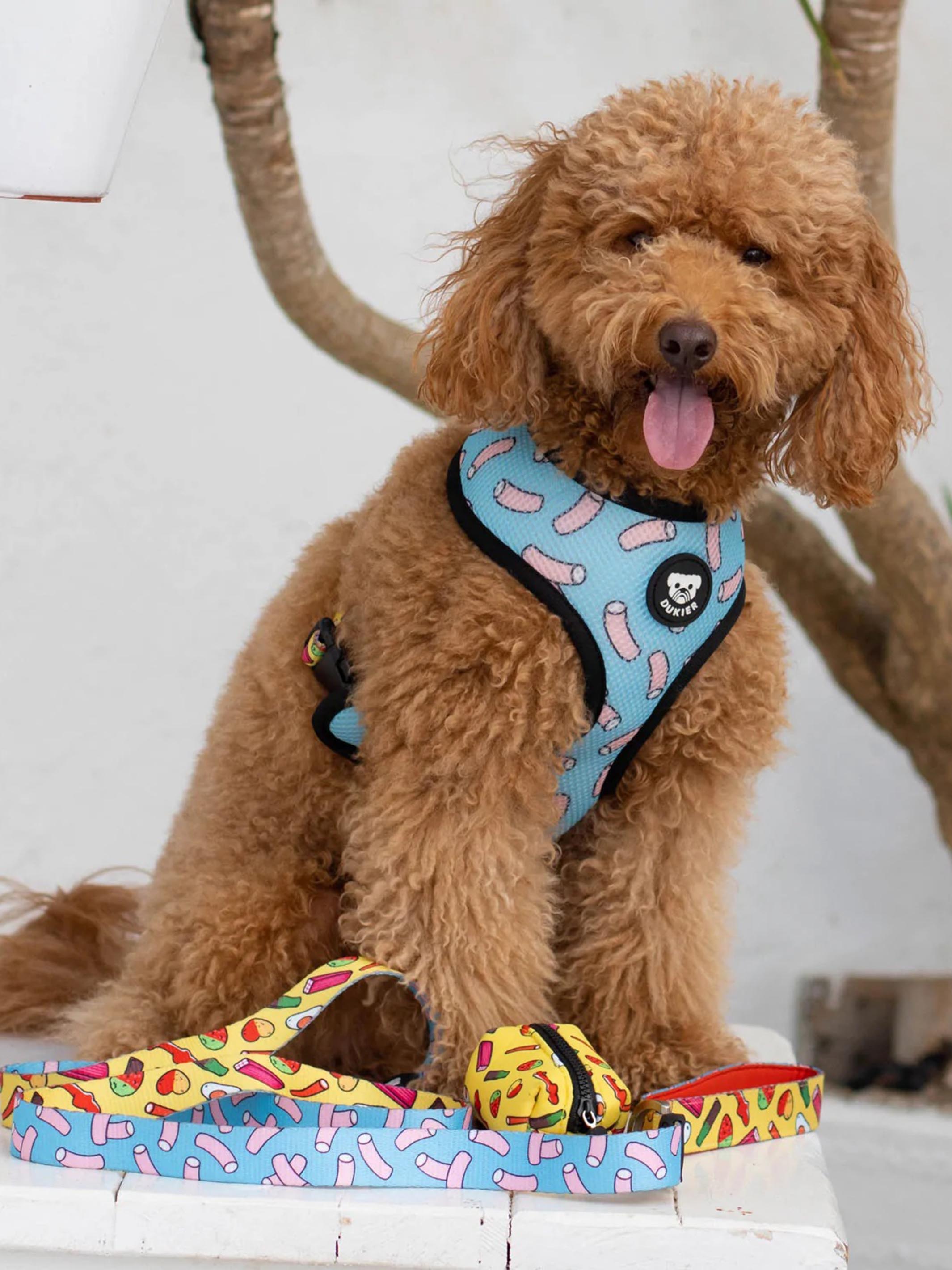 SWEETS REVERSIBLE DOG HARNESS